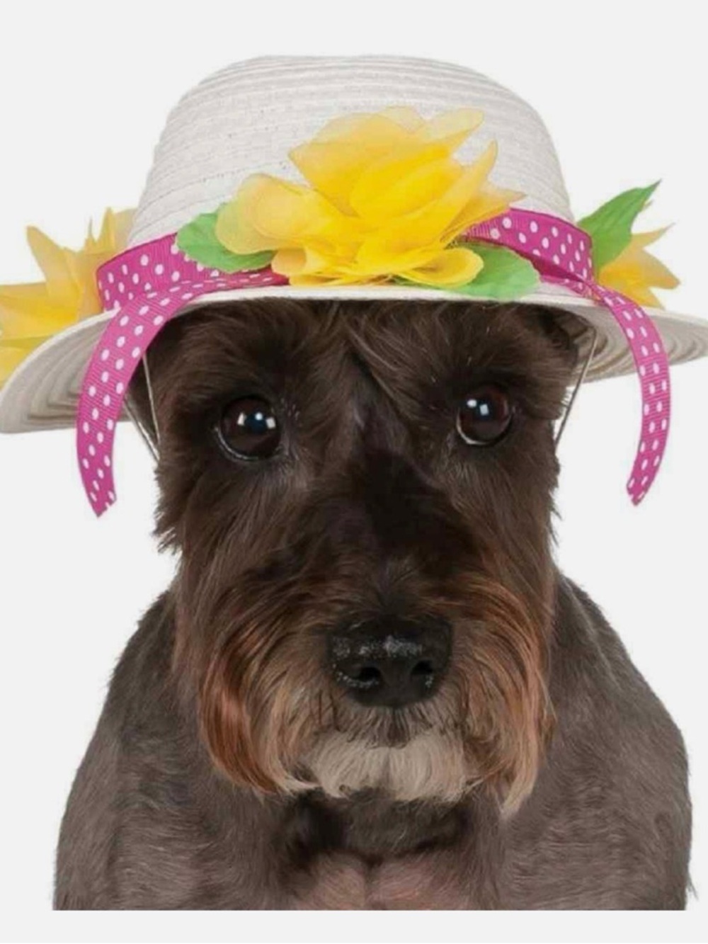 Derby Easter Bonnet Hat Cute Pet Dog Accessory